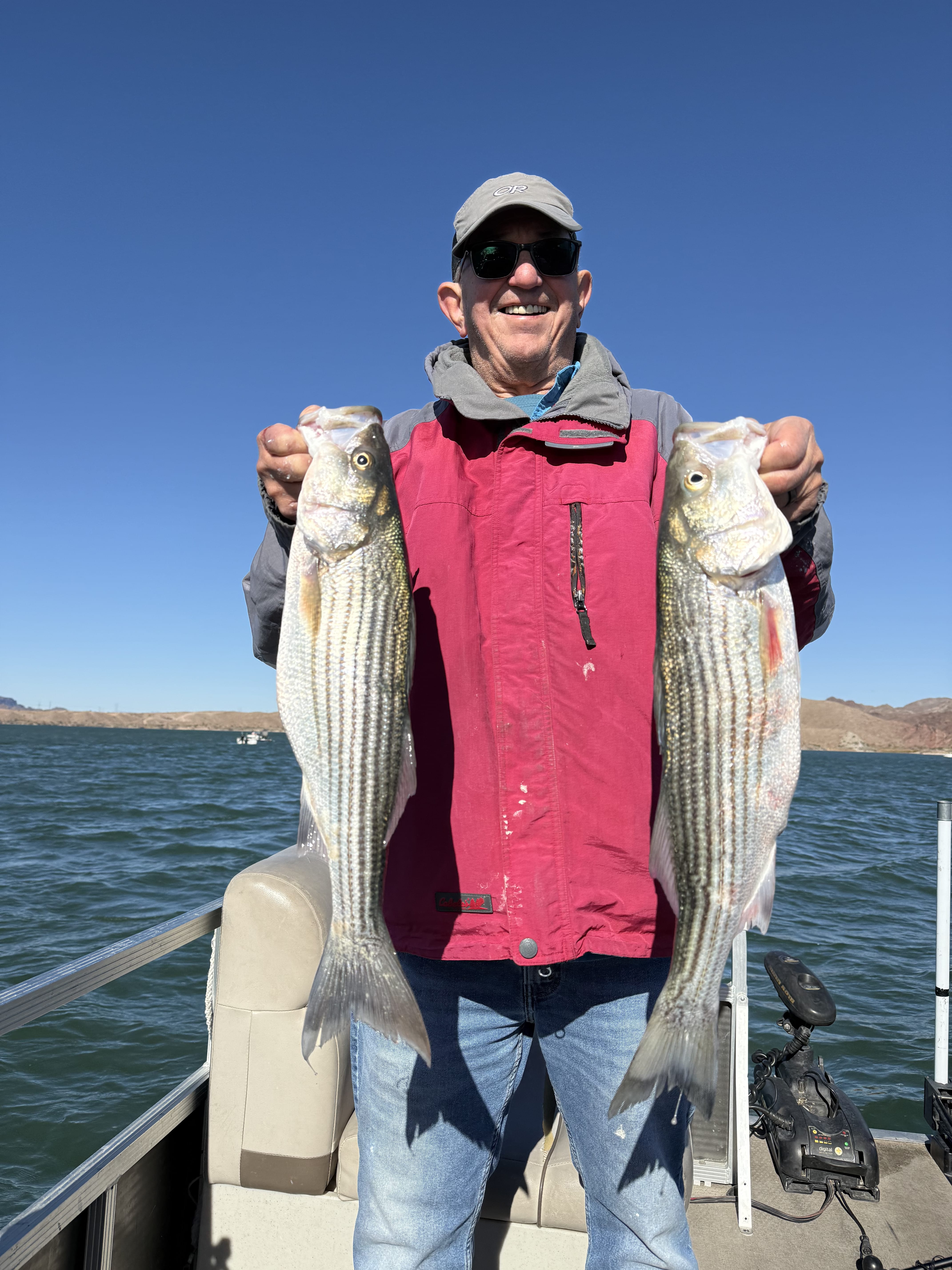 Two anglers holding up multiple striped bass
